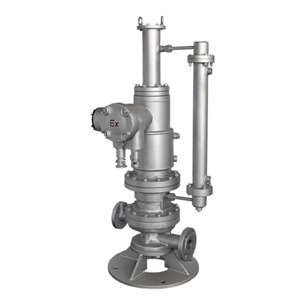 Canned Motor Pumps Slurry Handling Hayward Tyler